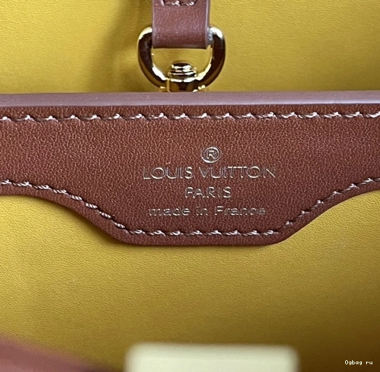 LOUIS VUITTON BB CAPUCINES 0818